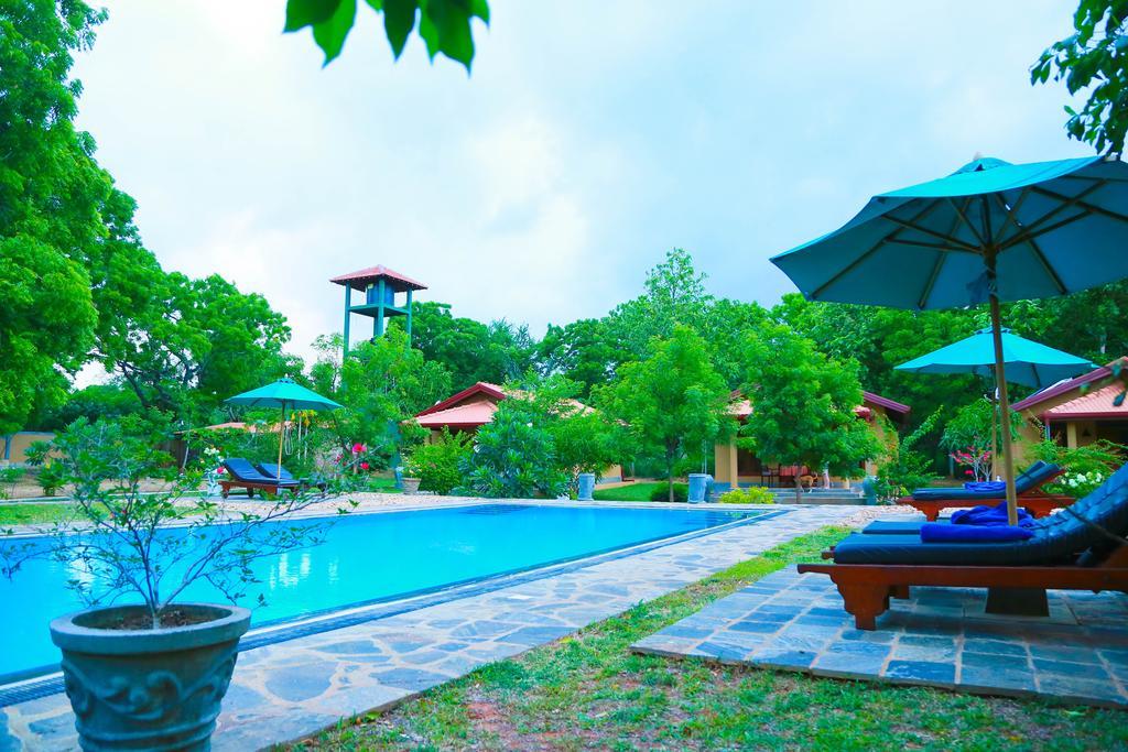 Shangri-Lanka Village ทิซซามาฮารามา ภายนอก รูปภาพ