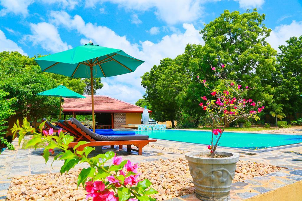 Shangri-Lanka Village ทิซซามาฮารามา ภายนอก รูปภาพ