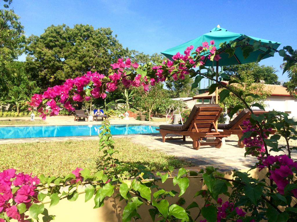 Shangri-Lanka Village ทิซซามาฮารามา ภายนอก รูปภาพ