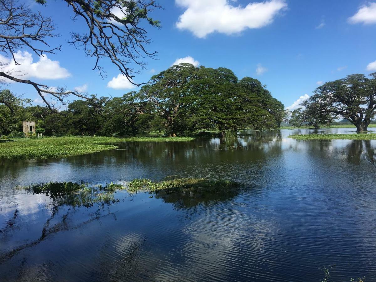 Shangri-Lanka Village ทิซซามาฮารามา ภายนอก รูปภาพ